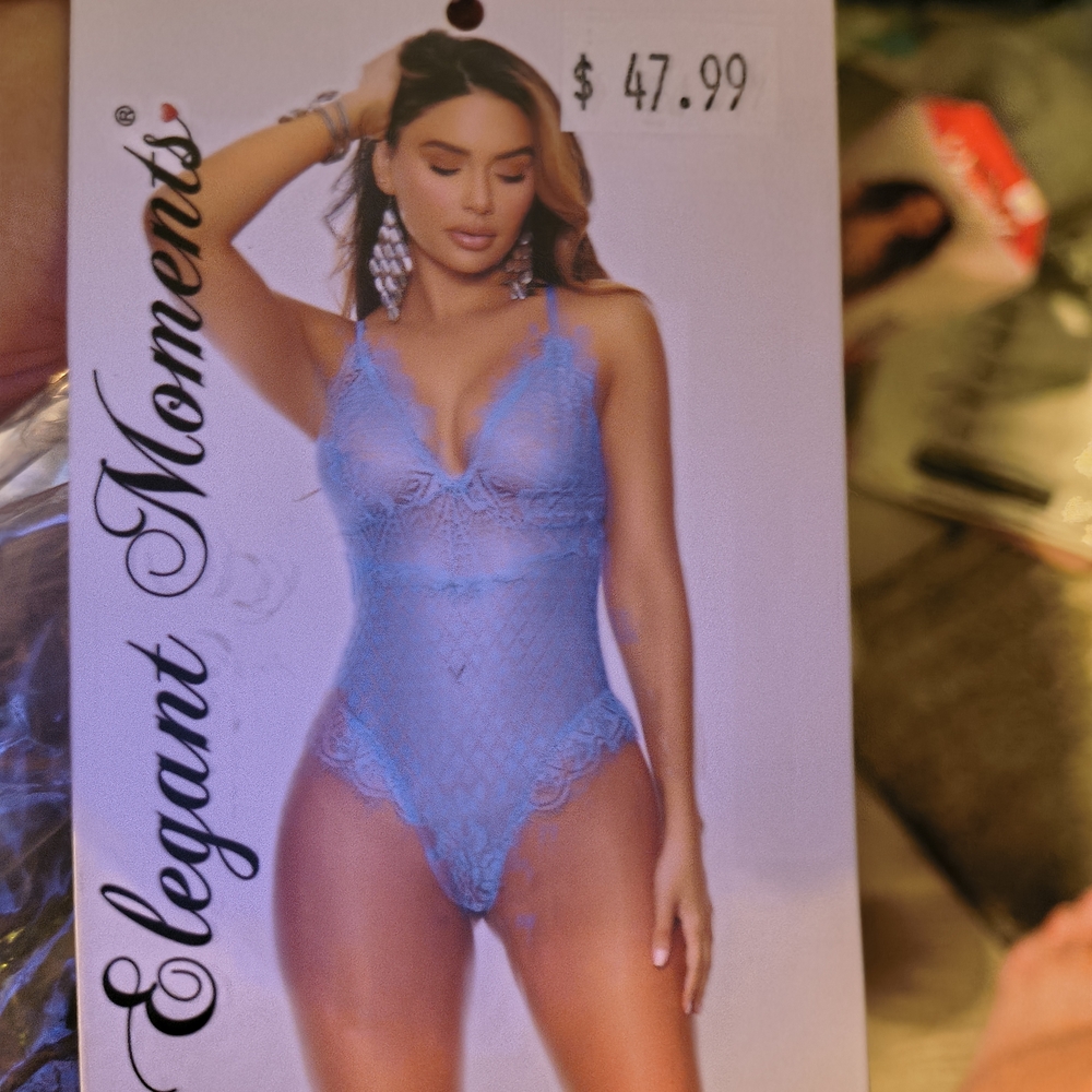Elegant Moments Sky Blue Lace Lingerie